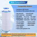 6541-397 Pool Spa Filter Cartridge,Compatible with Sundance 880 Spa Filter Series 2009-2023 ( Outer Filter 6473-165 and Inner Filter 6473-164), Sundance Spa Filter,FC-2772, AK-80802 Optima,Maxxus,etc.