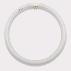 9 inch (FB681) T5 Circular Bulb Replacement for Zadro GLA, GLAW, SLWR, SLVR Makeup Mirror,22W Fluorescent Bulb,G10q 4 Pin Inward, 6500K Daylight Fluorescent lamp