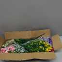 BLEUM CADE 12 Bundles Artificial Flowers for Outdoors, UV Resistant Fake Outdoor Flowers, Realistic Faux Outdoor Flowers for Decoration, Outside Fake Plants for Porch Garden Decor
