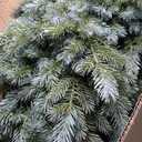 6ft Artificial Christmas Spruce Hinged Tree w/ 892 Mixed PE & PVC Tips