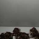 21” Brown Hair Extensions, 4 Pieces