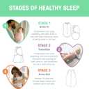 SwaddleMe by Ingenuity Compression Baby Swaddle Pod, Two-Way Zipper for Easy Diaper Changes, Improves Sleep & Calms Startle Reflex, 0-2 Months, 1.0 TOG, 2-Pack - Dino Jam