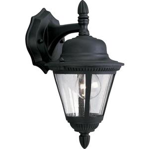 Progress Lighting P5862-31 1-Light Cast Wall Lantern with Clear Seeded Glass, Textured Black