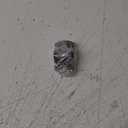 Banding Seal Black