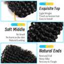 12 Inch Short Passion Twist Hair 8 Bundles Kinky Curly Marlybob Crochet Hair for Black Women (8Bundles12 Inch, 1B#)