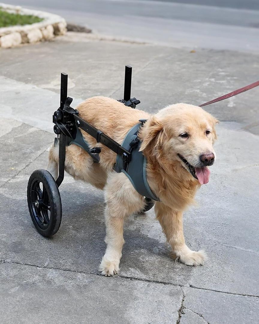 Adjustable Large Dog Wheelchair for Back Legs, Upgraded Wheel, Disabled Pets, Leg Brace, Mobility Aid for Large Pets, Hind Limb Rehabilitation, Older, Disabled (XXL(Chest 32.7-37.8in))