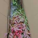 Tall Fake Bamboo Tree Large Artificial Nandina Trees Indoor Outdoor Realistic Floor Plant Faux Plastic Plants Flowers for House Home Living Room Bedroom Office Front Porch Modern Farmhouse Decor (6ft 7in, Multicolor)