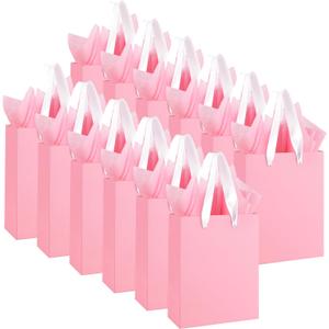 Ethhqu 12-Pack Small Pink Gift Bags with Handles - Includes 24 Tissue Papers, 6.3x4.7x2.4 Inches Mini Gift Card Bag for Birthday Party, Baby Shower, Wedding, Holiday