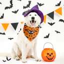 Frienda 30 Pcs Halloween Dog Bandanas Bulk Bat Bandanas for Dogs Black Orange Purple Triangle Kerchief Bibs Scarf Set for Pet Halloween Costume Photo Props Accessories Pet Shops, 6 Styles