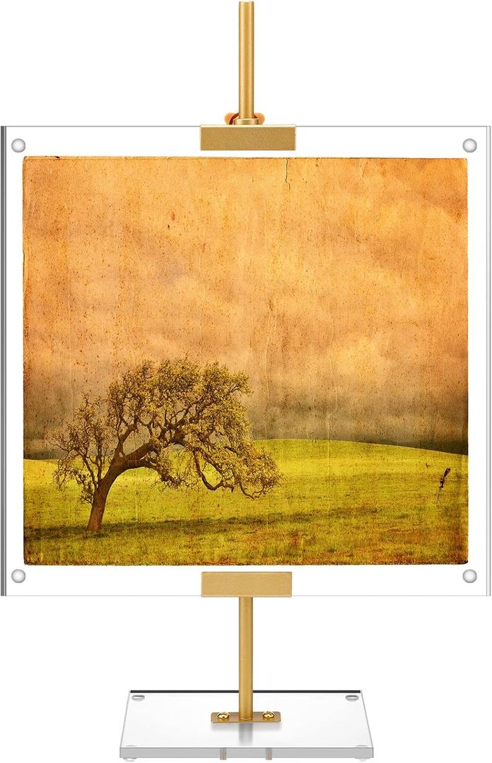 RattanView Gold Adjustable Metal Easel Stand with Acrylic Floating Photo Frame 16.5" Tabletop Metal Standing Easel Display Stand for Display Picture, Frame, Photos, Art, Poster, Signs