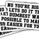 4 x 3Pcs No You're Right Lets Do It The Dumbest Way Possible To Make It Easier for You Sticker Joke Let's Do It The Dumbest Way Stickers Sarcastic Stupid Car Decal for Laptop Bottle Phone Case 5"