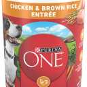 Purina ONE Natural High Protein Dog Food, Tender Cuts in Gravy Chicken and Brown Rice Entre - 13 Ounce (Pack of 12) (EXP 04/30/28)