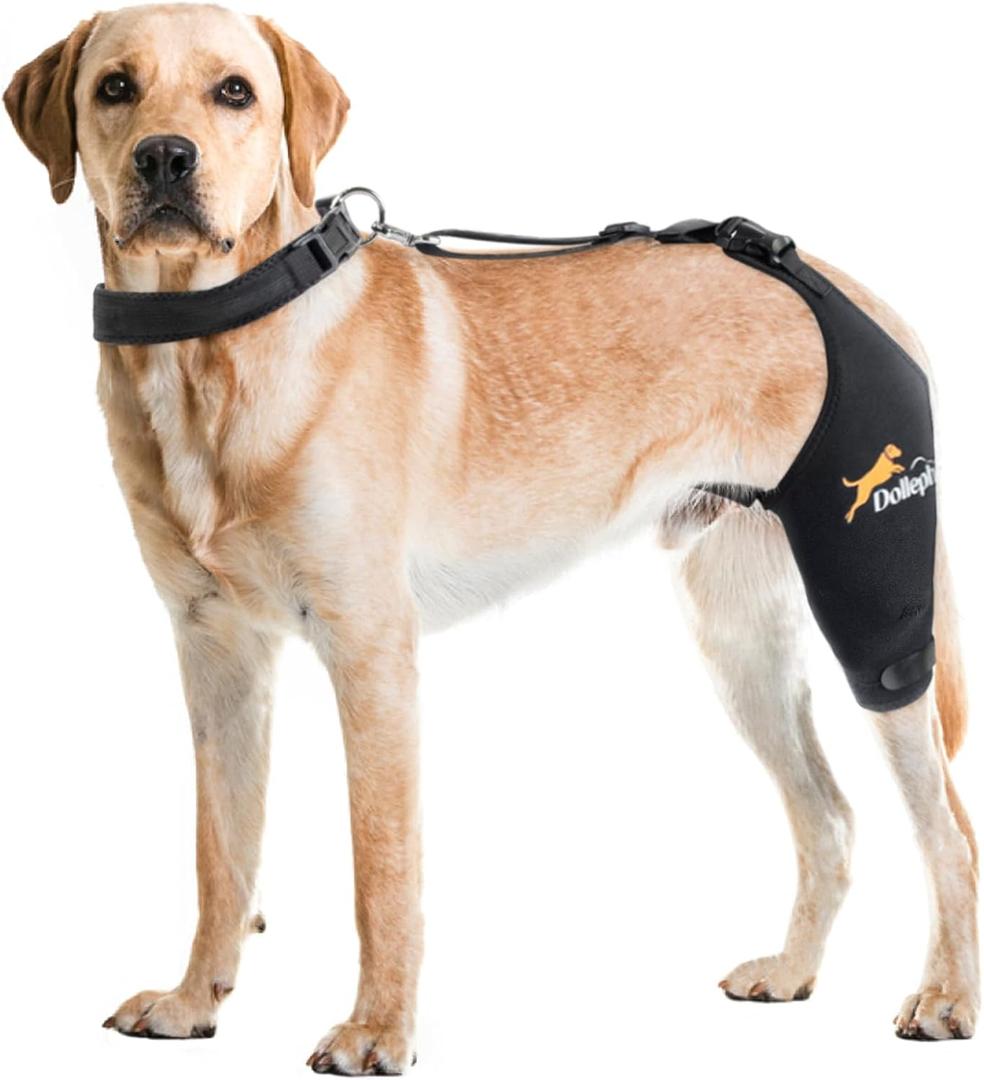 Dog Knee Brace for Torn ACL Hind Leg, Hot/Cold Compress for Patella Dislocation or Osteoarthritis, Cruciate Ligament Injuries, for Medium & Large Dogs(Left Leg,L)