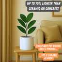 Fox & Fern Plant Pot, Large Plant Pots for Indoor & Outdoor, UV & Frost Resistant Plant Vase with Drainage Plug, Fiberstone, Large Indoor Pots for Plants & Flowers, House Indoor Plant Pot, Single Pot