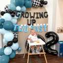 Two Fast Birthday Decorations Growing Up Two Fast Birthday Decorations Boy