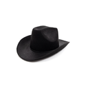 Little Adventures Costume Cowboy and Cowgirl Felt Hats