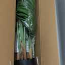 5ft Artificial Palm Tree Indoor Plant Tall Fake Tropical Paradise Palm Tree in Pot with Real Bark Design Faux Areca Palm Tree for Home Office Living Room Bedroom Farmhouse Modern Decor 1pcs