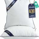 Utopia Bedding Throw Pillow Inserts (Pack of 2, White), 20 x 20 Inches Decorative Indoor Pillows for Sofa, Bed, Couch, Cushion Sham Stuffer
