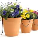 Raindrip R560DP Drip Watering System, Automatic Drip Irrigation System with Timer for Containers and Hanging Baskets, Waters up to 20 Plants, Includes 20 Drippers, Black
