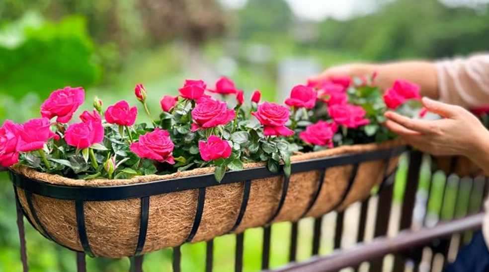 ZeeDix 24 Inch Railing Planter Box, 1 Pack Metal Window Boxes with Coco Liners for Railing, Hanging Flower Boxes for Deck Porch Balcony & Fence Outdoor Indoor Lawn