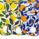 Pet Magasin Reusable Washable Dog Diapers (Pack of 3), Highly Absorbent with Strong & Flexible Hook & Loop (Botanical Fruit, M (14-19 Waist))