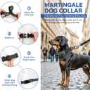 Martingale Dog Collars Adjustable Training Martingale Collar for Dogs - Reflective No Pull Dog Collar with Quick Release Buckle (Army Green, Large) (Medium)