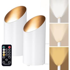 Brightown LED SpotLights - 2 Pack Uplighting Floor Can Lights with Remote and Timer, 3 Color Temperatures & Dimmable, 2 Lighting Modes for Wall Picture Painting Plants Indoor Accent Lighting, White
