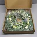 Sggvecsy Artificial Eucalyptus Wreath for Front Door 21 Inch with Greenery Leaves Green White Berries Silk Dollar Leaves for Spring Summer Farmhouse Window Porch Wall Home Indoor Outdoor Decor