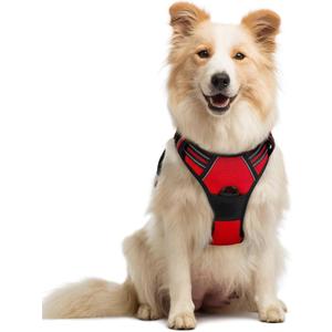 rabbitgoo Dog Harness No Pull with 2 Leash Clips, Adjustable Soft Padded, Reflective Oxford No Choke Pet Vest with Easy Control Handle for Medium Sized Dogs, Red, M