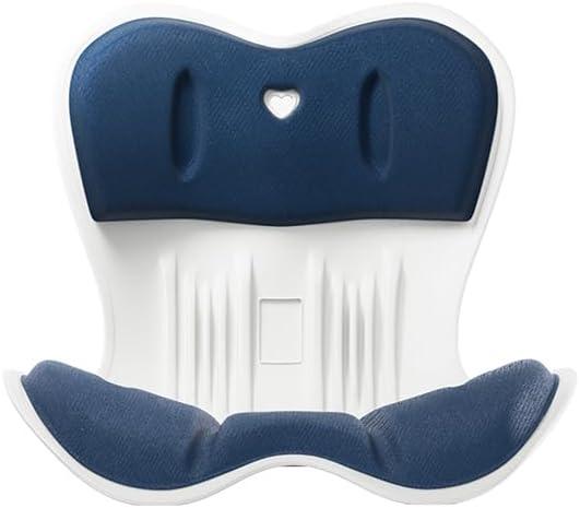 Ergonomic back support office chair cushion, back cushion for posture correction, suitable for long sitting to relieve low back pain - back posture corrector (blue, Standard size-(17.5inch*16.5inch))