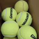 GAMMA Sports Pressureless Tennis Balls Box - Ideal for Practice, Teaching, and Training with High-Visbility Felt - Indoor and Outdoor Court Play - 48 and 75 Pack Sizes
