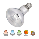 3 Pack 100-Watt Basking Light for Reptile - Heat Lamp Bulbs for Reptiles & Amphibians Broad Spectrum Reptile Light for Glass Terrariums Suitable for Bearded Dragons Light Lizards Iguanas basking Bulb