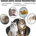Probiotics for Cat, Boosts Immune System, Improves Digestion, Supports Gut Health, Relieves and Prevents Diarrhea and Soft Stools, Salmon-Flavored Chewable Tablets - 30 Tablets (120g)