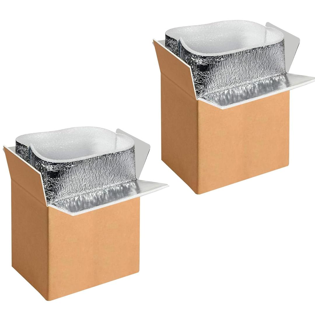 Simple Deluxe 2 Pack Insulated Shipping Boxes with Aluminum Foil Liner,Thermal Insulation Cold Pack Shipping Boxes for Frozen, Reusable Styrofoam Cooler Box, Small Mailing Box, 6''x5''x9''