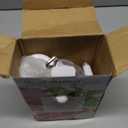 Meat Grinder, Aluminum Alloy Stainless Steel Meat Grinder Manual Small Sausage Stuffer, Meat Mincer for Home