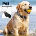 Upgraded AirTag Dog Collar, IP68 Waterproof Holder, Large Black | Reflective, Soft Neoprene Padded, Ultra-Durable Nylon, Machine Washable, Heavy Duty, Dog Collars, Girl, Boy