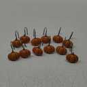Sunlit Fall Pumpkin Decorative Shower Curtain Hooks, Autumn Harvest Festival Shower Curtain Rings, Resin, Orange Farmhouse Bathroom Curtain Hangers Decoration, Set of 12
