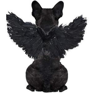 WeeH Pet Halloween Costume Cosplay Angel Devil Black White Wing for Dog Cat Rabbit Piggy - Funny Gift at Halloween Party Anime Theme Birthday Christmas (Black, Large)
