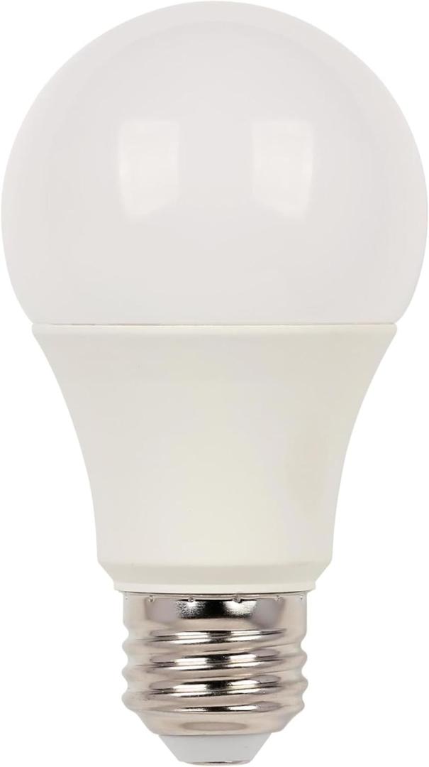  14 Watt (100 Watt Equivalent) A19 Daylight LED Light Bulb, Medium Base (12 Pack)