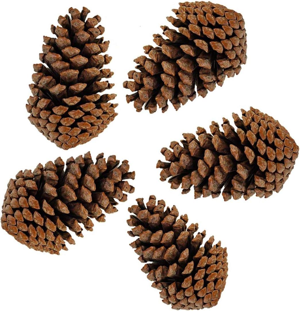 PineCones Tall Bulk Package All Natural,Real Preserved Pine Cones Big Pinecones and Perfect Natural Pine Cones for Christmas Hanging Ornaments Bowl Vase Fillers (3-4.3 in(12pcs))