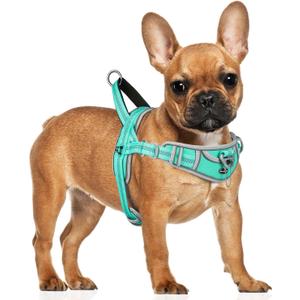ADVENTUREMORE Small Dog No Pull Harness - Reflective, Escape Proof with Front Clip Handle for Training & Walking - Teal