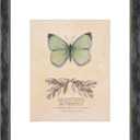 XUANLUO 1 pcs 11x14 Picture Frame with Grey Color,Rustic Retro Photo Frame with HD Plastic Cover for Wall Mount,Display Family Friends Wedding Gift