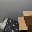 Cat House for Outdoor,Weatherproof Warm Feral Cats Shelter Outside/Indoor Collapsible Insulated Pet Houses Foldable Stray Cat Tent Cave for Kitty Puppy Small Animals Four Season(Black)