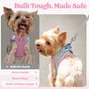 rabbitgoo Dog Harness Small Sized and Leash Set, Step in Soft Light Puppy Vest, Breathable Mesh Pet Harness, Reflective for Safe Easy Walking, Pink & Gray XS