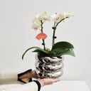 Ceramic Plant Pot Indoor, 4.5 Inch Flower Pot with Drainage Hole, Small Bubble Design Ceramic Planter for Home & Office Decor (Silver), 4.7inch
