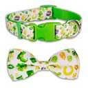 Easter Dog Collar, Blue Bunny Print, Adjustable Soft Nylon Pet Collar with Secure Buckle for Small & Medium Dogs  Cute Spring Holiday Design (Small-(11"-17") Neck * 5/8" Wide)