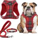 GAMUDA Small Dog Harness Collar and Leash Set, Step in No Chock No Pull Soft Mesh Adjustable Dog Vest Harnesses Plaid Reflective for Dogs Puppy Cats Kitten Rabbit (Red, L)
