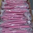 Leitee 50 Pcs Kids Stethoscope Real Working Stethoscope for School Role Play Doctor Nurse Cosplay Accessory (Black)