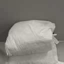 Organic Feather Down Throw Pillow Inserts (22x22 Inch, Set of 2) - 100% Cotton Shell, Filling of Feathers & Memory Foam, Square Decorative Pillow Form Core for Couch, Sofa, and Bed