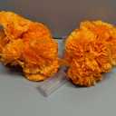 2 Pack Day of the Dead Decorations Total 13.1Ft Marigold Garland for Decoration, 40 Lighted Artificial Marigold Flowers 12 Butterfly for Dia de Los Muertos Indian Diwali Altar Halloween Home Decor (Orange)